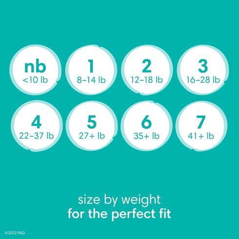 Pampers Baby Dry Diapers, Size 1, 204 Count, Absorbent Disposable Diapers