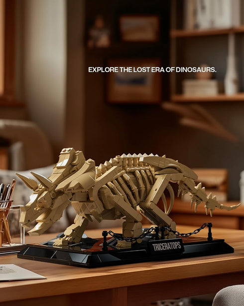 Set, Set (798 NF10351) Nifeliz Triceratops Fossil Model Dinosaur Skeleton Building for Adults and Collectors, Ideal