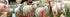 300 Ceaco - Tom Wood - Farm Animal Friends - Oversized Piece Jigsaw Puzzle