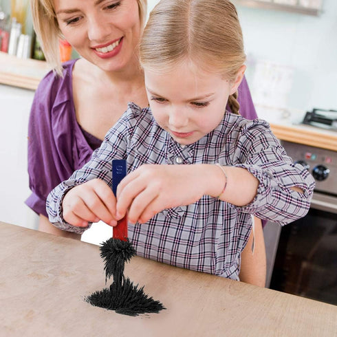 SPACECARE Magnetic Sand Iron Filings, 12 Ounces with Shaker Lid for Magnet Education and School Projects