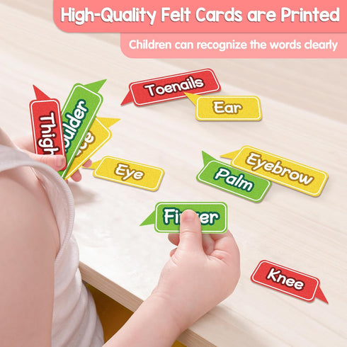 35 Pcs Body Parts Felt Board Set for Kids Preschool Learning Interactive Educational Storytelling Play Kit