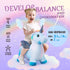 EVERICH TOY Unicorn Bouncy Horses, Inflatable Plush Hopping Toy for Toddlers, Outdoor & Indoor Bouncy Animals Gift