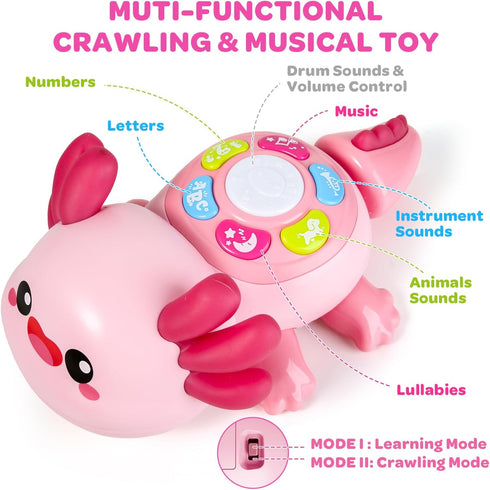 6 12 Tummy 12-18 6-12 1 2 Baby Toys to Months, Light Up Time Toy for Months, Crawling Axolotl Early Educational Musical