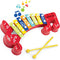 Small World Toys Xylophone for Kids: 8 Key Colorful Xylophones for Toddlers