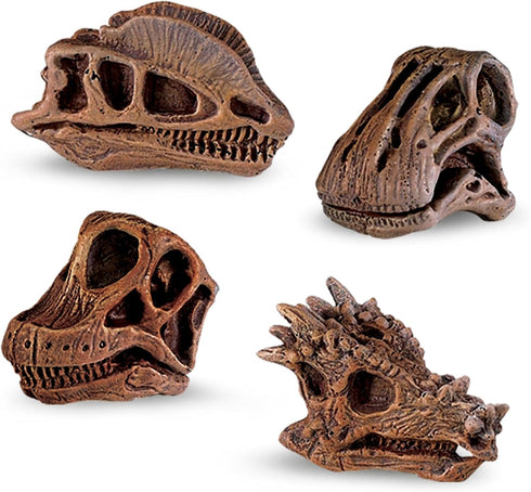 Safari Ltd Dinosaur Skulls TOOB - 11 Mini Figurines Including Velociraptor, Brachiosaurus, and More - Educational Toy