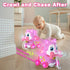 Holaxander 6-12 1+ Tummy 1st 1-2 Musical Puppy Toy Months,Baby Bilingual Toddler Learning for Year Old Girl Gift,Baby
