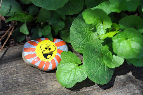6+) Creativity for Kids Rock Painting Kit - Hide and Seek Rock Kit, Arts and Crafts for Kids, Gifts for Kids (Ages