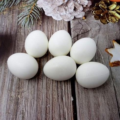 Honbay 12PCS Dummy Solid Plastic Simulation Pigeon Eggs Mini Eggs Hatching Eggs for Pigeon Hatching