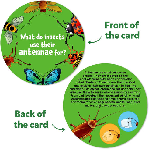 7, 8, 9 Skillmatics Flash Cards - Science Snippets Animals, STEM Learning Educational Toys & Learning Aids for Kids