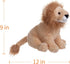 Apricot Lamb Toys Plush Lion Stuffed Animal Soft Cuddly Perfect for Girls Boys (Yellow-Lion, 10 Inches)