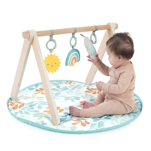 0-36 Ingenuity Sun Valley Wooden Baby Play Mat, Foldable A-Frame Bar, Machine-Washable Mat, Unisex, for Ages Months