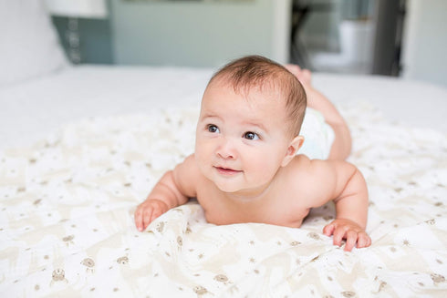lulujo Baby 100% Cotton Muslin Swaddle Blanket, 47 x 47-Inches, Modern Llama Design (LJ464)