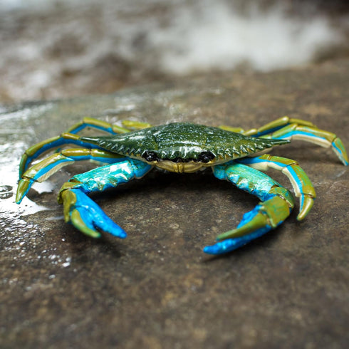 7" 18M+ Safari Ltd. Blue Crab Figurine - Realistic Model Figure - Educational Toy for Boys, Girls, and Kids Ages