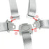 Pack Set: 5 Two High Chair Straps Point High Chair Straps Replacement Compatible with Graco and Most, Adjustable Sturdy