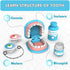 Set 3-5 3 4 Playset 2-4 5 6 7 8 Dentist Play for Toddlers - Doctor Kit Toy Gifts for Year Old Girls, Pretend Play