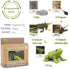 Mbrain5pcs Frog Growth Cycle with Flash Cards, Life Cycle Learning Montessori Toys for 3-7 Year Olds
