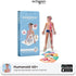 Humanoid 4D+ Augmented Reality Human Anatomy Model - Interactive Educational STEM Tool with Free App, Audio Narration, Multilingual Support - Explore Muscular, Nervous, Skeletal Systems & More