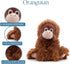 9 inches The Petting Zoo Female Orangutan Stuffed Animal Plushie, Gifts for Kids, Wild Onez Wildlife Animals, Orangutan