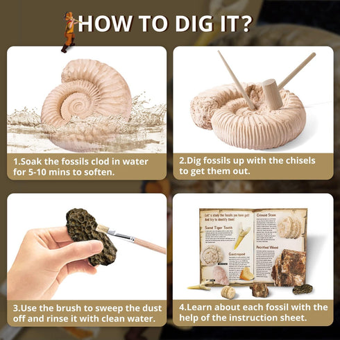 Byncceh Mega Fossil Dig Kit - Excavate 12 Prehistoric Fossils, Educational STEM Science Toys for Kids