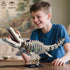 ONITUOFO Set,Dinosaur 8-12(1026PCS) Mechanical Dinosaur Building World Building Block,Jurassic Ocean Animal Collection