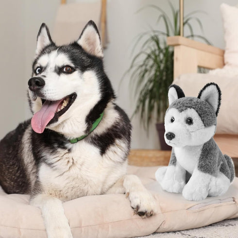 Realistic,9" Siberian Husky Dog Plush Stuffed Animals Dog Stuffed Animals Soft Cuddly Siberian Husky Stuffed Dog