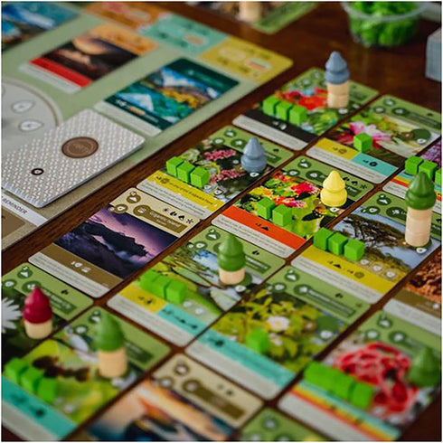 Inside Up Games Earth - The Board Game, Ecosystem Building, Card Drafting for 1 to 5 Players