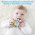 TOHIBEE Baby Sensory Toy + Baby Stuffed Musical Caterpillar