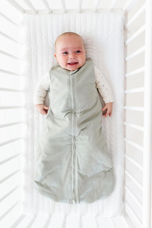 1.0 Ely's & Co. Winter Sleep Sack, Wearable Blanket with Soft Quilting, Transitional Swaddle for Baby Boy/Girl, TOG