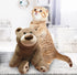 3.5 LB 24 Inch Weighted Stuffed Animals Bear, Weighted Plush Animals Throw Pillow, Cute Kawaii Plush Toys Gifts