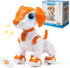 IQKidz Remote Control Robot Toys Dog for Kids Age 3-8, RC Smart