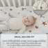 Pobibaby 2 Pack Premium Fitted Baby Boy Crib Sheets - Ultra-Soft Jersey Knit Ocean Crib Sheet (Seaside)