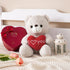 I Love You Teddy Bear for Girlfriend, Cute Stuffed Animals Plush Toys, 12 Inch Brown Bear for Mother's Day