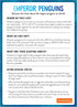 Mudpuppy Penguin's Iceberg Adventure Cooperative Game - Shape Matching Game with Game Board, Movers, and Tiles