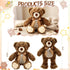12 Inch Set Silipull Bear Stuffed Animals with Voice Recorder Photo Pendant Cute Soft Plush Bear Messages Playback