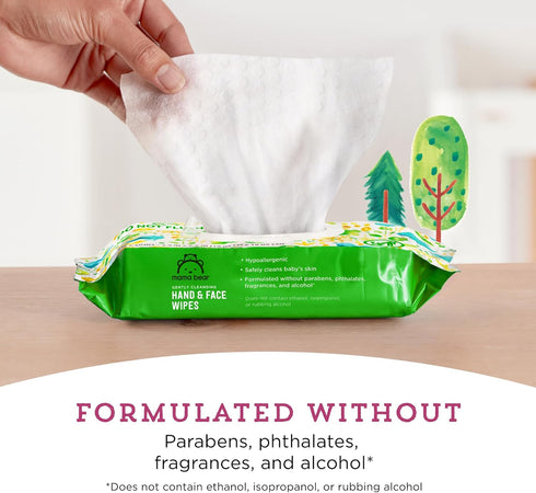 180 Count (9 Packs 20) Amazon Brand - Mama Bear Baby Hand & Face Wipes, Unscented, Fragrance Free, Cleansing