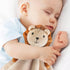 Pro Goleem Loveys for Babies - Soft Security Blanket Baby Snuggle Toy Newborn Stuffed Animals Baby Gifts for Boys and Girls, Lion 16 Inch