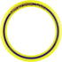 Aerobie Pro Ring Outdoor Toy for Kids, Boys and Girls, All Ages, Colors May Vary