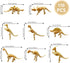 HAVAGDTM 110PCS 2.5Inch Dinosaur Fossil Skeleton Dinosaur Skeleton Toys Assorted Figures Dino Bones for Birthday Party