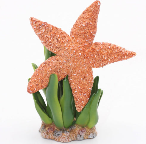 Gemini&Genius Starfish Toys for Kids - Realistic Starfish Figurine Toy - Under The Sea Life Figure Educational Gifts