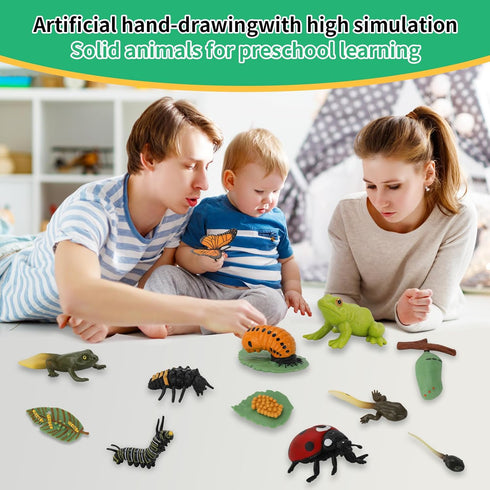 Montessori Life Cycle Learning Toys - Plastic Insect Ladybug, Butterfly & Tadpole-to-Frog Kit for Kids