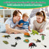 Montessori Life Cycle Learning Toys - Plastic Insect Ladybug, Butterfly & Tadpole-to-Frog Kit for Kids