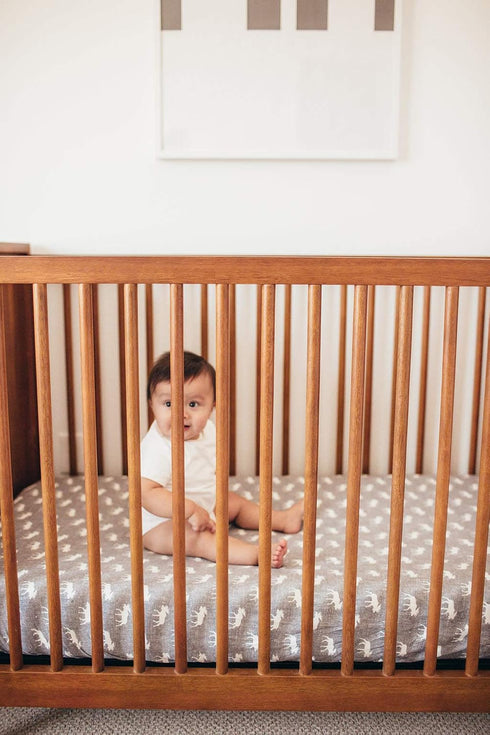 Trendy Knit Crib Sheet/Toddler Sheet in Scout by Copper Pearl