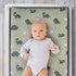 The Peanutshell Baby Changing Pad Covers Boy, Minky Changing Table Sheets, Dinosaur Nursery Decor, Sage Green Baby