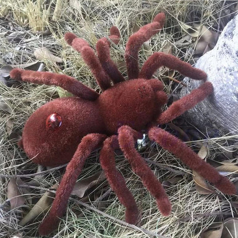 New Remote Control Scary Creepy Realistic Spider 2 Channel Infrared RC Model Toy Gift for Kids