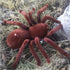 New Remote Control Scary Creepy Realistic Spider 2 Channel Infrared RC Model Toy Gift for Kids