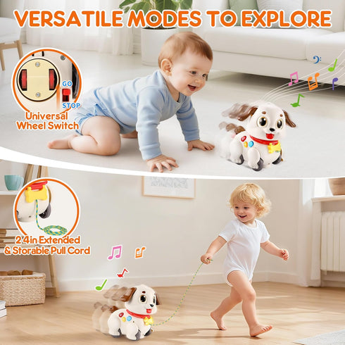 1 6 7 8 9 10 12 18 1st 6-12-18 LUDILO Learning Toys for Year Old Boy Girl Gifts: Pull Along Crawling Toy Musical Puppy
