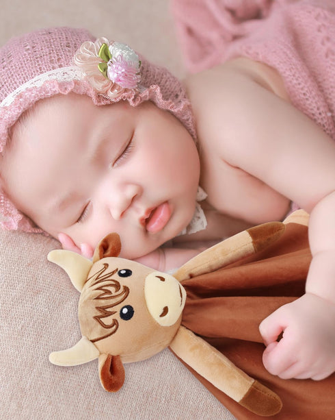 Highland Cow Baby Girl Security Blanket, Floral Highland Cow Lovey, Baby Nursery Stuff Gift for Newborn Girl