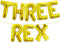 Katchon Huge Gold Three Rex Balloons - 16 Inch, Dinosaur Birthday Decorations with 3 Rex Balloons for Boy's Party