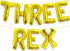 Katchon Huge Gold Three Rex Balloons - 16 Inch, Dinosaur Birthday Decorations with 3 Rex Balloons for Boy's Party