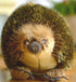 Lifelike Echidna Plush Stuffed Animal Toy Echidna Animal Model (20CM)